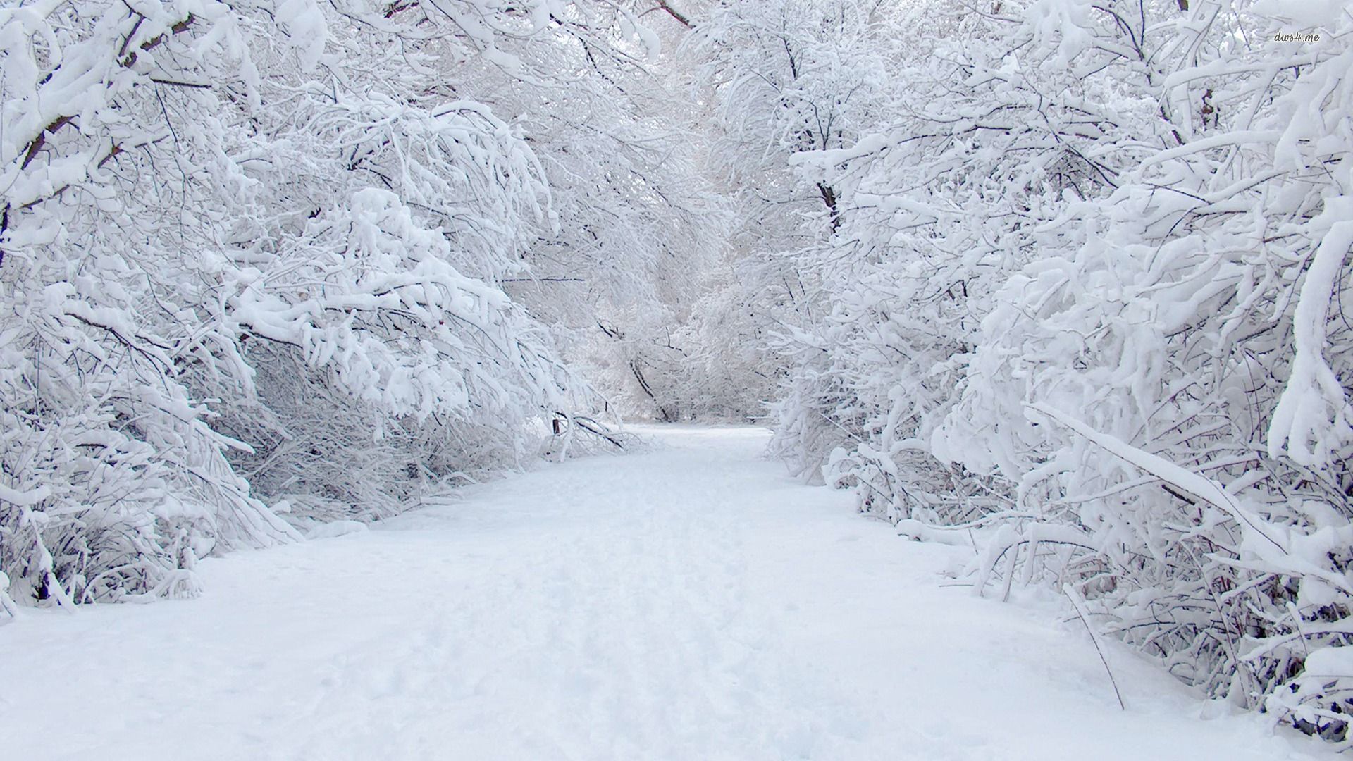 the first fall of snow